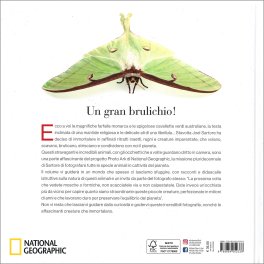Photo Ark Insetti — Libro - 2