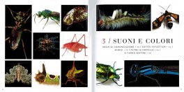 Photo Ark Insetti — Libro - 3