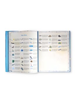 Pianeta Mare - Atlante per Bambini — Libro - 3
