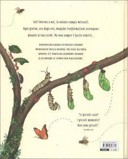 Piano Piano... — Libro - 2