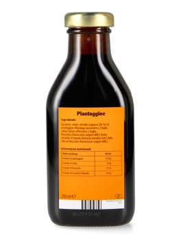 Piantaggine - 3
