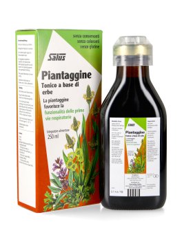 Piantaggine - 1