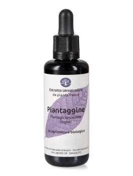 Piantaggine - Estratto Idroalcolico - 1