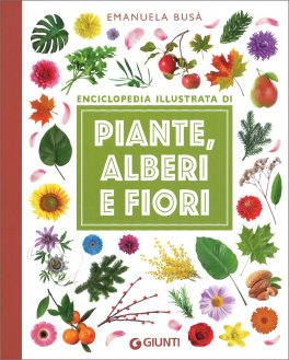 Enciclopedia illustrata di Piante, Alberi e Fiori — Libro - 1
