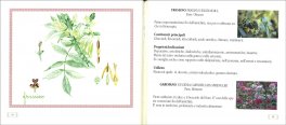 Piante Amiche — Libro - 3