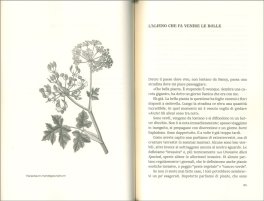 Piante Cattive — Libro - 3