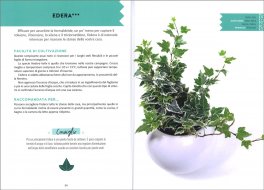 Piante che Purificano l'Aria — Libro - 4