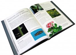 Piante che Uccidono — Libro - 6