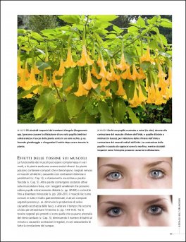 Piante che Uccidono — Libro - 8