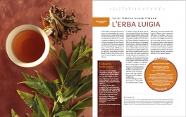 Piante da Bere — Libro - 3