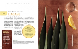 Piante da Bere — Libro - 5