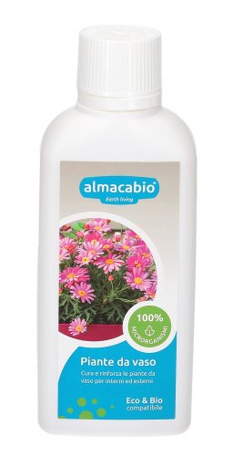 Piante da Vaso Microrganismi