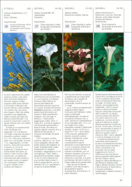 Piante degli Dèi — Libro - 3