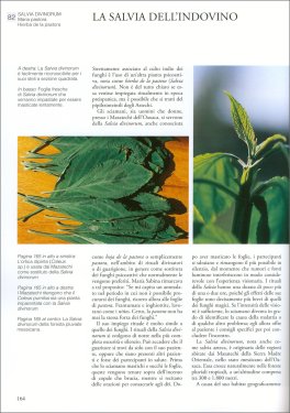 Piante degli Dèi — Libro - 4