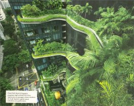 Piante Domestiche — Libro - 2