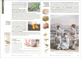 Piante e Fiori dell'Ikebana — Libro - 4