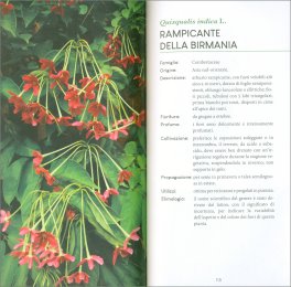 Piante e Fiori Profumati — Libro - 3