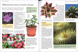 Piante Grasse — Libro - 3