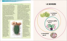 Piante Grasse — Libro - 3