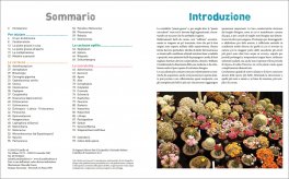 Piante Grasse — Libro - 4