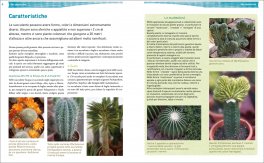 Piante Grasse — Libro - 2