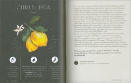 Piante Magiche — Libro - 4