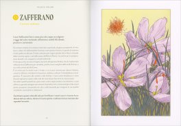 Piante Magiche — Libro - 3