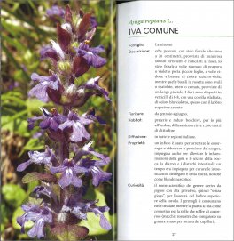 Piante Medicinali — Libro - 3