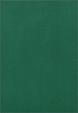 Piante Medicinali delle Isole Eolie — Libro - 2