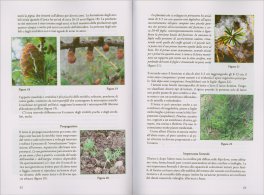 Piante Medicinali e Forze Cosmiche — Libro - 3