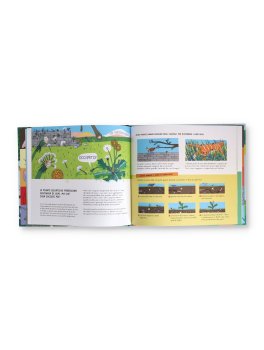 Piante Selvatiche — Libro - 2