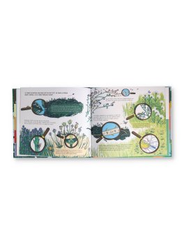 Piante Selvatiche — Libro - 3