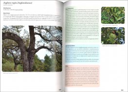 Piante utili in Ticino e nell'Italia Alpina e Prealpina — Libro - 3