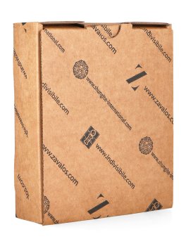 Piastra di Kolzov - Normalizzazione Vitale - 3