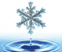 Piastra Orgonica per Acqua V.E.R.B - 3