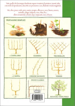 Piccola Enciclopedia della Potatura — Libro - 2