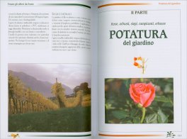 Piccola Enciclopedia della Potatura — Libro - 4