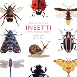 Piccola Guida a Insetti — Libro - 1