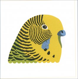 Piccola Guida agli Uccelli — Libro - 3