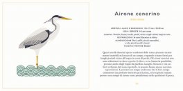 Piccola Guida agli Uccelli — Libro - 4
