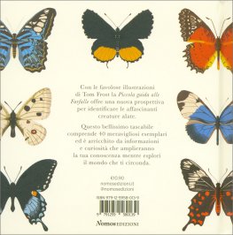 Piccola Guida alle Farfalle — Libro - 2