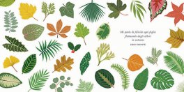 Piccola Guida alle Foglie — Libro - 4