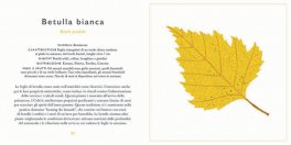 Piccola Guida alle Foglie — Libro - 5