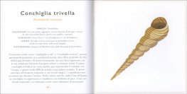 Piccola Guida alle Spiagge — Libro - 3