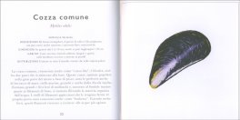 Piccola Guida alle Spiagge — Libro - 4
