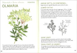 Piccola Guida delle Piante Officinali — Libro - 3