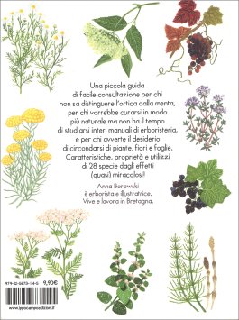Piccola Guida delle Piante Officinali — Libro - 2