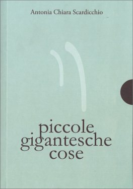 Piccole Gigantesche Cose — Libro - 1