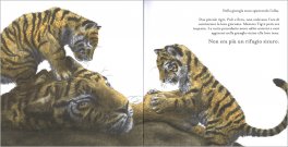 Piccole Tigri — Libro - 3