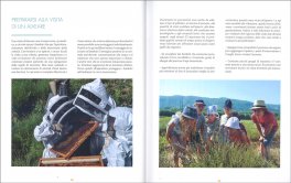 Piccoli Apicoltori — Libro - 3